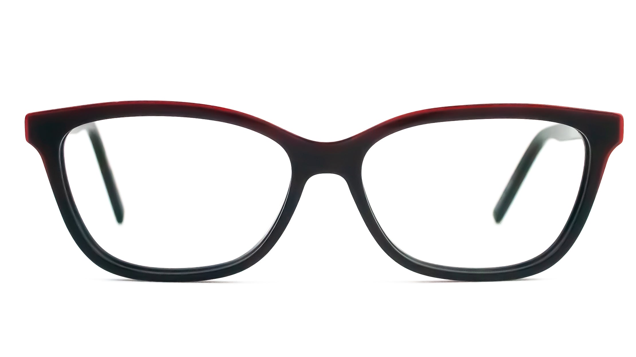 Hugo Boss HG20 glasses frames