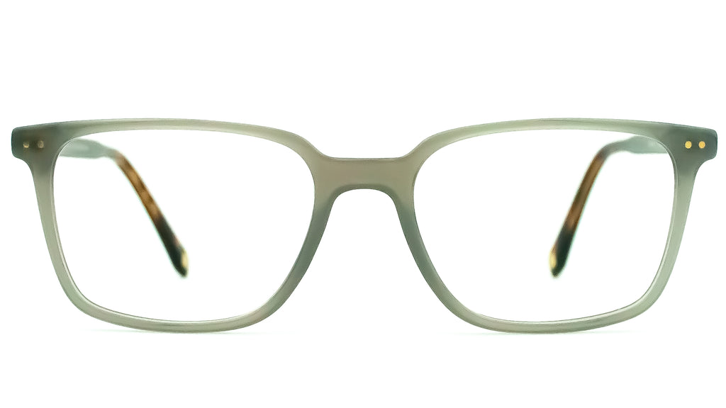 Ted Baker 'Dexter' Glasses Frames