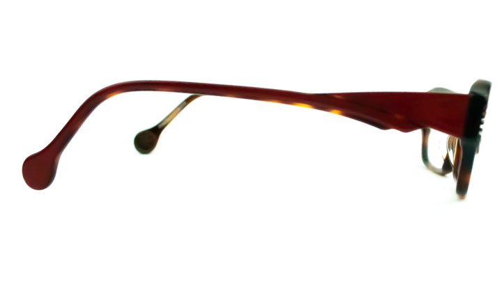 BOZ Tempo Red and Tortoiseshell Glasses